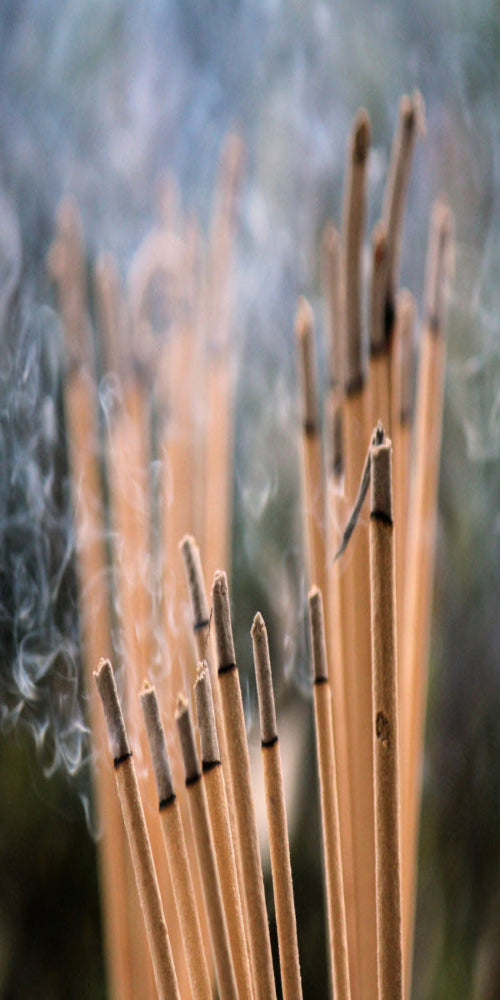 SOMALI ROSE EXOTIC INCENSE (100 STICKS BUNDLE)